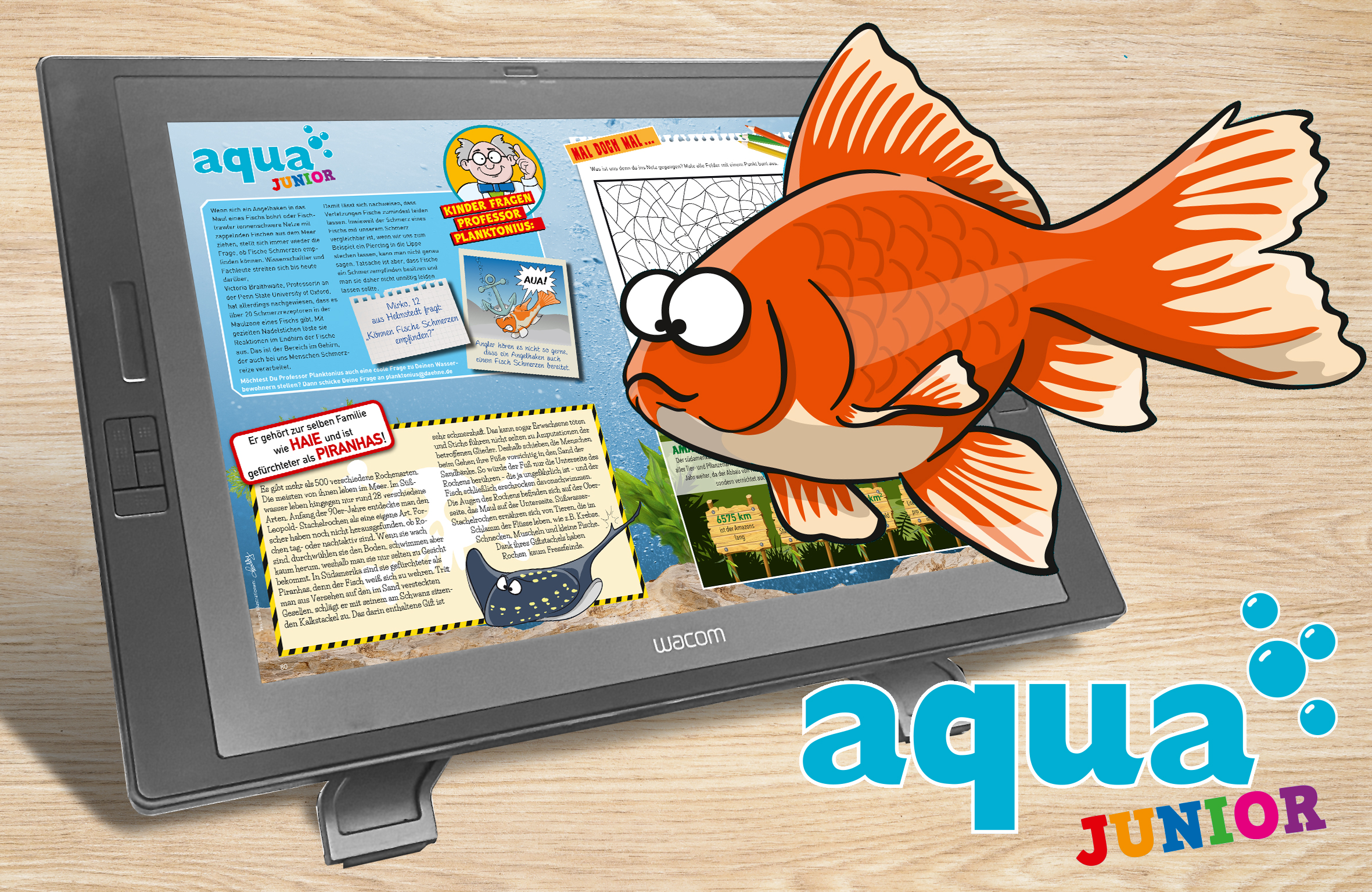 Aqua junior